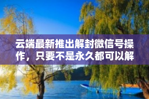 云端最新推出解封微信号操作,只要不是永久都可以解封